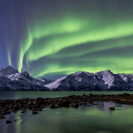 Lyngenfjord,Odins Hus Appartement Olderdalen Buitenkant foto