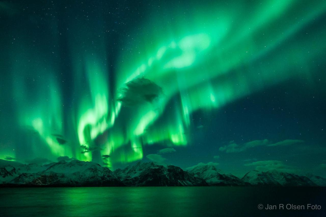 Lyngenfjord,Odins Hus Appartement Olderdalen Buitenkant foto