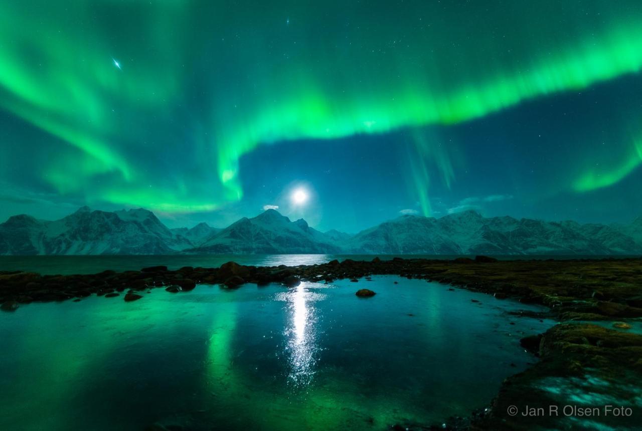 Lyngenfjord,Odins Hus Appartement Olderdalen Buitenkant foto