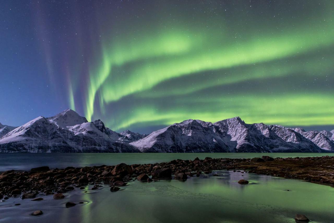 Lyngenfjord,Odins Hus Appartement Olderdalen Buitenkant foto