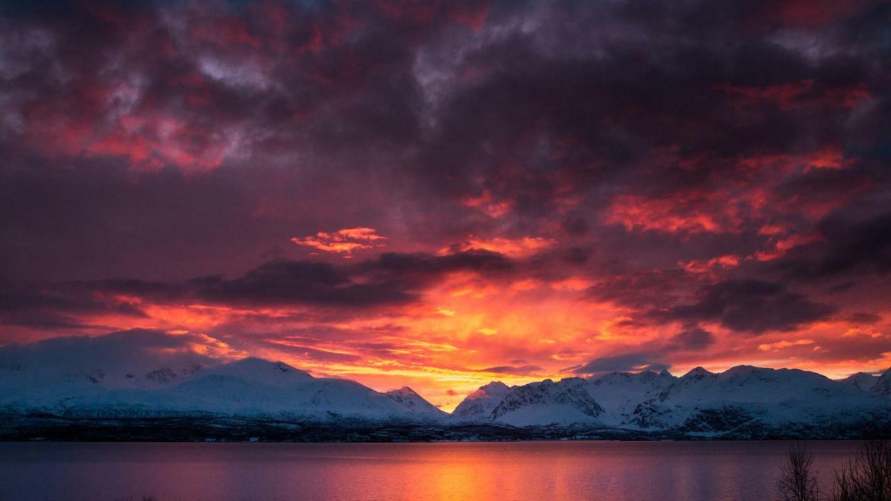 Lyngenfjord,Odins Hus Appartement Olderdalen Buitenkant foto