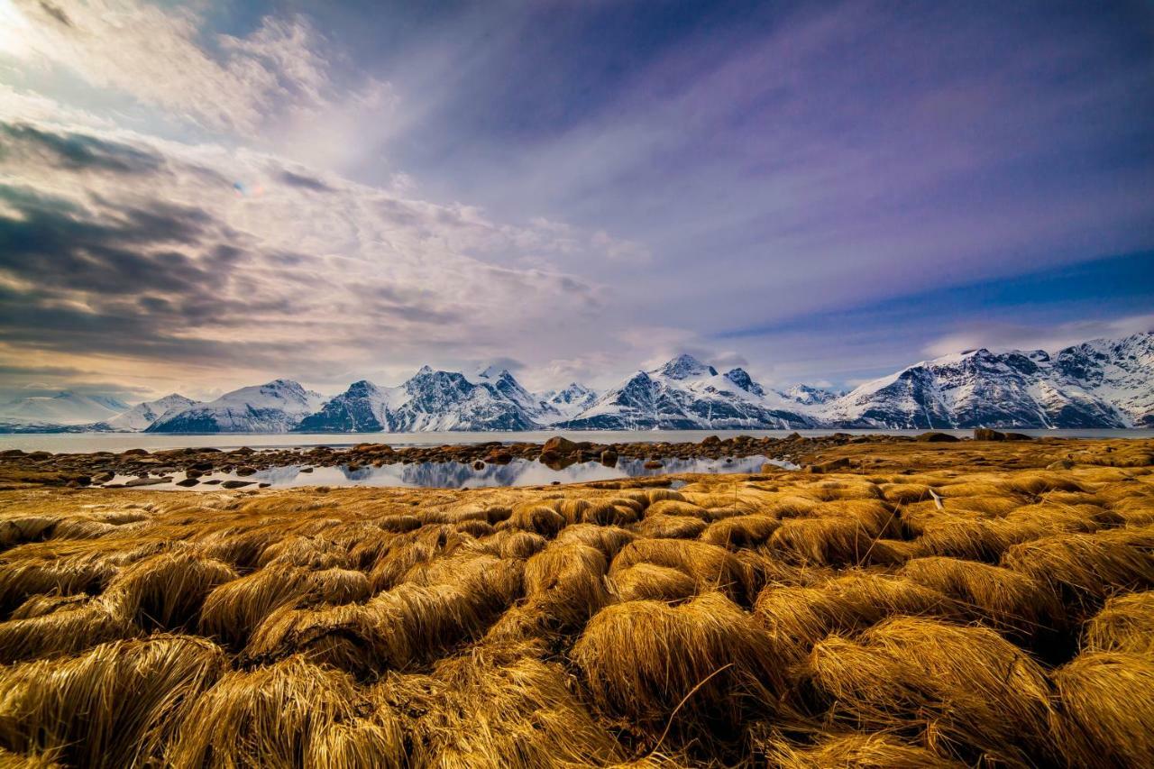 Lyngenfjord,Odins Hus Appartement Olderdalen Buitenkant foto