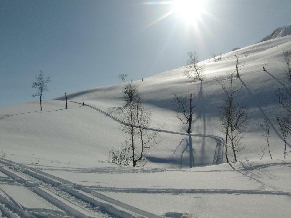 Lyngenfjord,Odins Hus Appartement Olderdalen Buitenkant foto